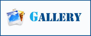 GALLERY-icon