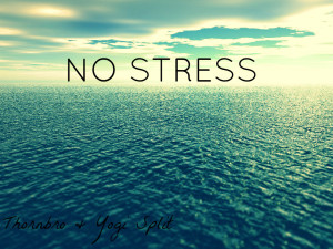 Una cultura anti stress